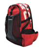 Icetec | Sport Rugtas 2.0 - Rood 44 liter